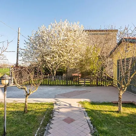 Campagna Veneziana - Privata Con Bagno Condiviso 民宿 *